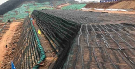 AG真人国际(中国)官方网站