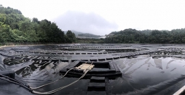 AG真人国际(中国)官方网站