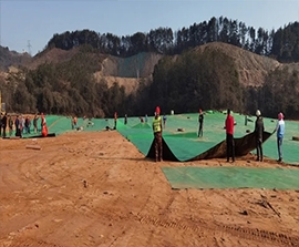 AG真人国际(中国)官方网站